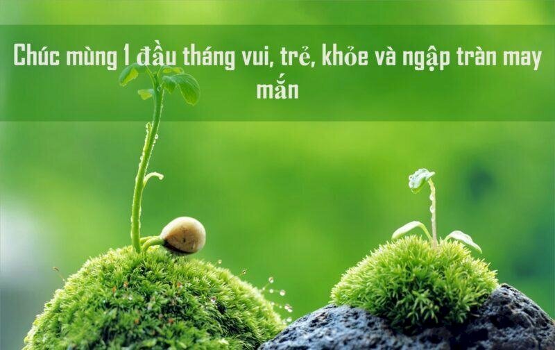 Bài cúng đầu năm cầu bình an may mắn cho gia đình