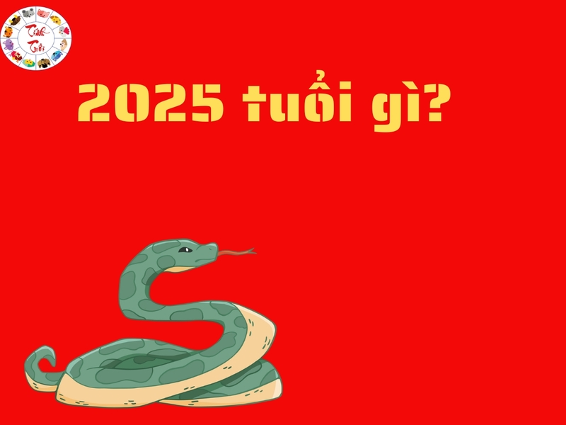 Nữ sinh 2025 mặc áo dài trắng tươi cười bên trường