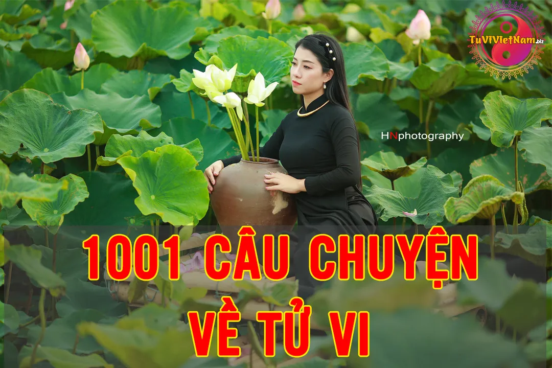 Tử vi Việt Nam dự đoán vận mệnh năm mới