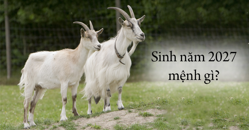 Nữ sinh 2027 mặc đồng phục tươi cười đến trường