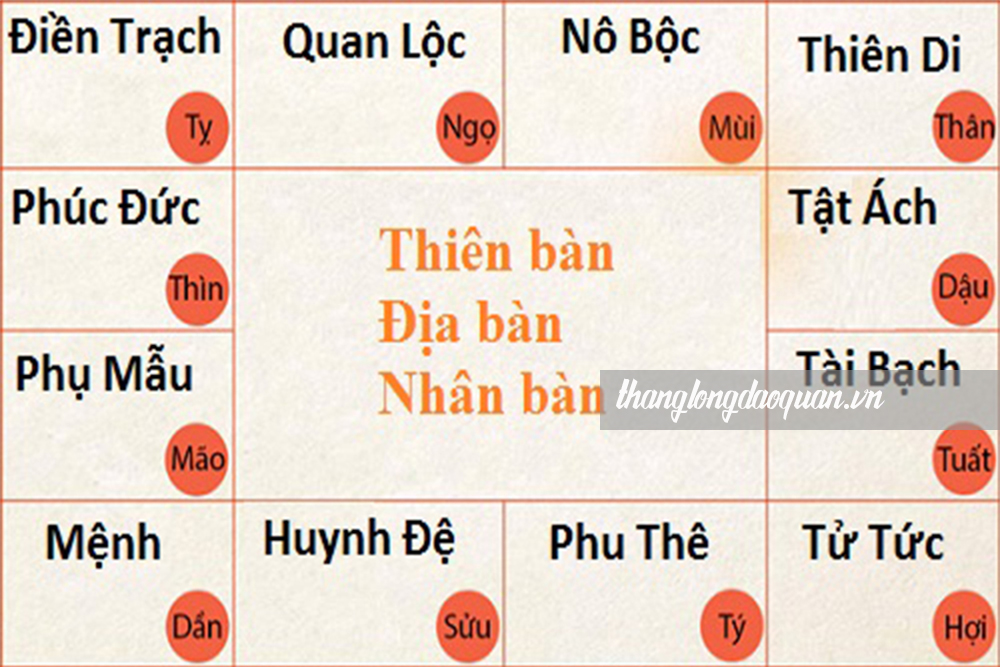 cung tử vi và ý nghĩa của từng cung