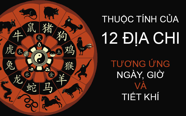 12 Địa Chi Gồm Những Gì? Phân Tích Sâu Ý Nghĩa, Ứng Dụng Thực Tế Trong Đời Sống Hiện Đại địa chi gồm Tý Sửu Dần Mão Thìn Tỵ Ngọ Mùi Thân Dậu Tuất Hợi