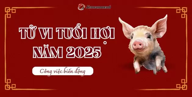 Tử vi nữ Kỷ Hợi 2019 năm 2025 chi tiết