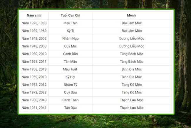Mệnh Mộc Hợp Số Nào? Giải Mã Ý Nghĩa, Ứng Dụng Thực Tiễn & Những Lưu Ý Phong Thuỷ Số hợp với người mệnh Mộc theo phong thủy