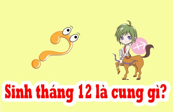 22/12 thuộc cung gì