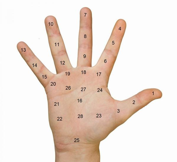 Các vị trí nốt ruồi trong lòng bàn tay
