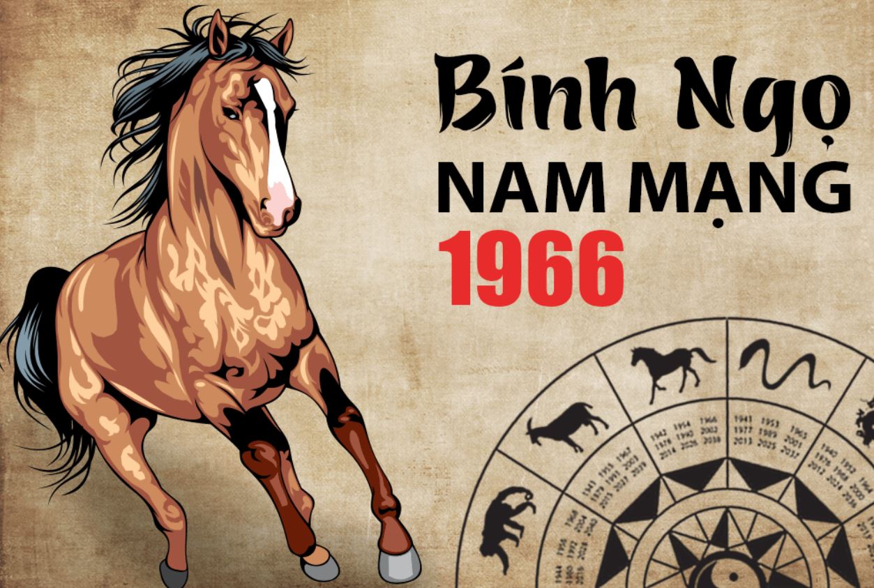 Tử vi tuổi Bính Ngọ 1966 nam mạng năm 2026