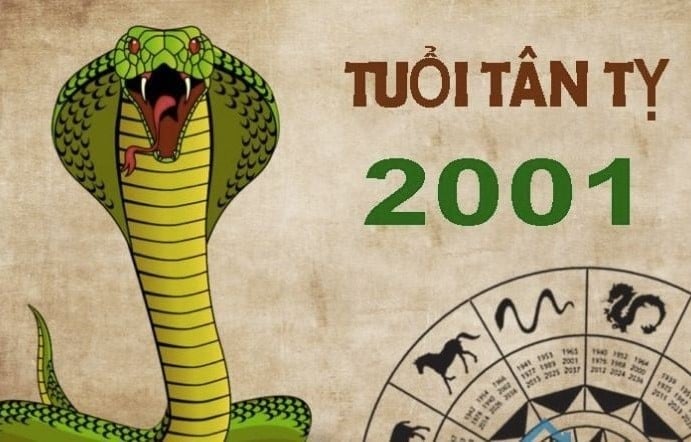 Tử vi nam Tân Tỵ 2001 năm 2026 chi tiết