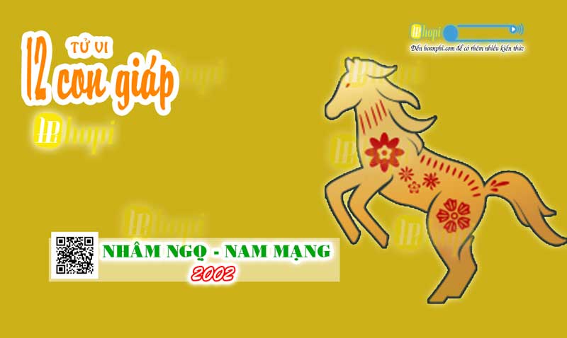 Tử vi nam Nhâm Ngọ 2002 năm 2025