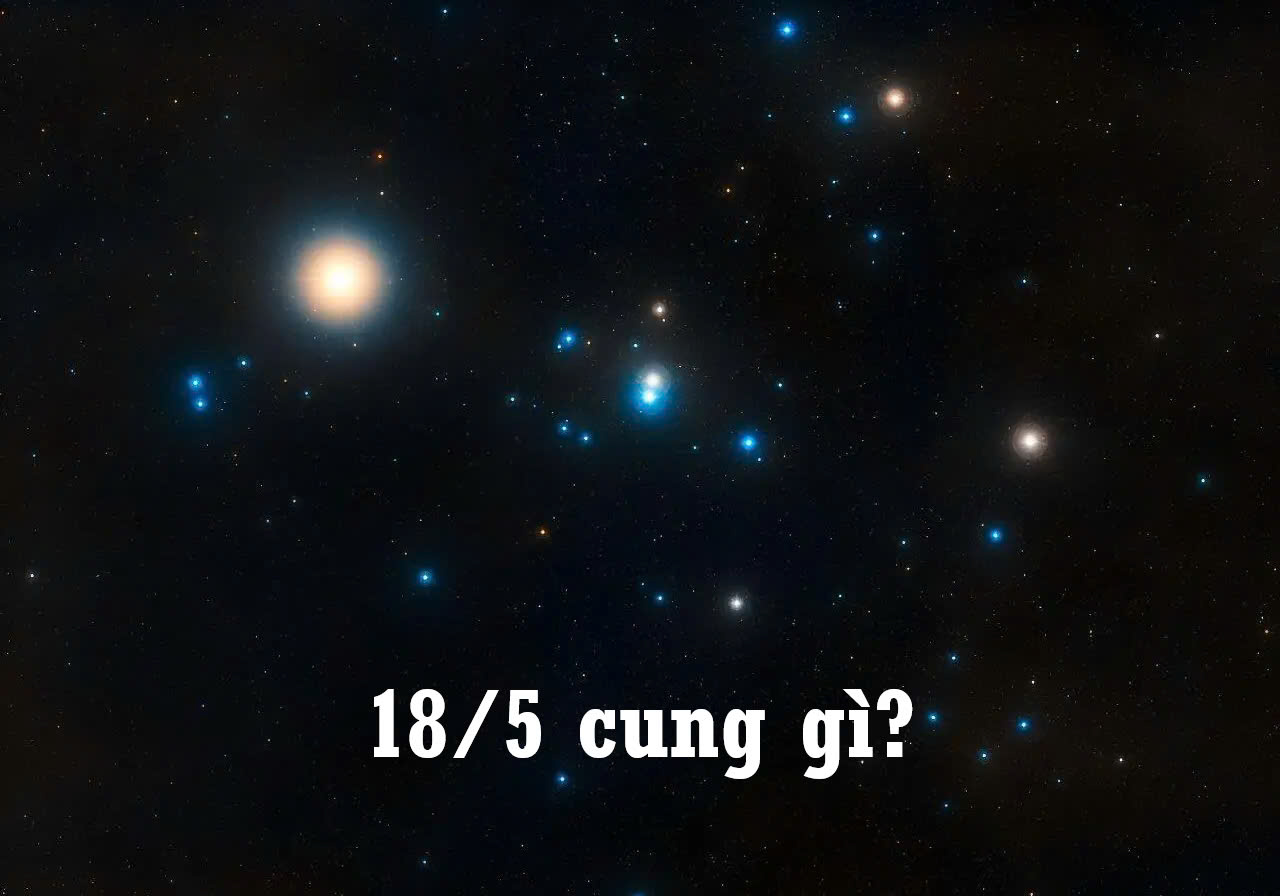 18 tháng 1 thuộc cung hoàng đạo gì