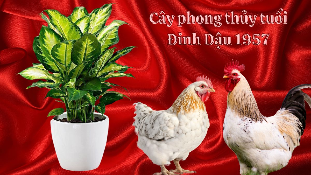 Tuổi Đinh Dậu 1957 vận mệnh và phong thủy