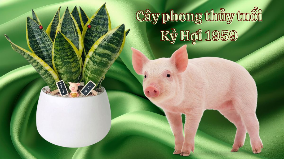 Tuổi Kỷ Hợi 1959 vận mệnh và phong thủy năm nay