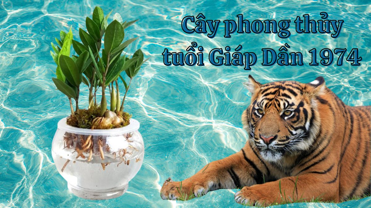 Tuổi Giáp Dần 1974 vận mệnh và phong thủy