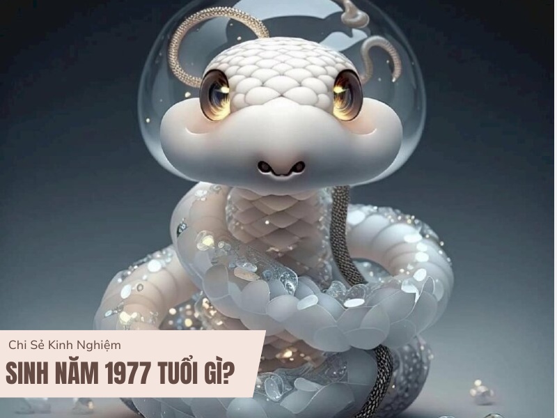 Tuổi Đinh Tỵ 1977 phong thủy và vận mệnh năm nay