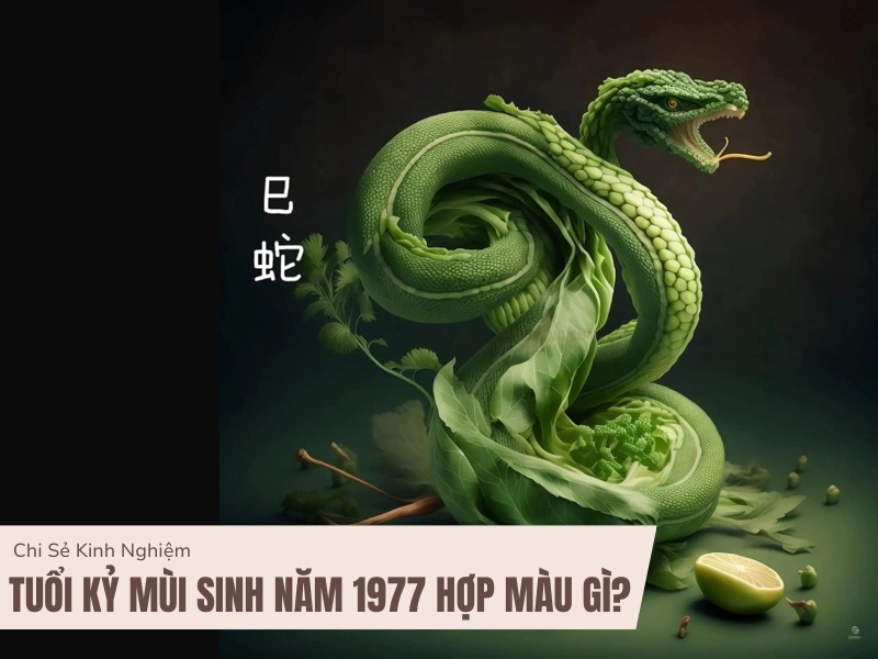Tuổi Đinh Tỵ 1977 phong thủy và vận mệnh năm nay