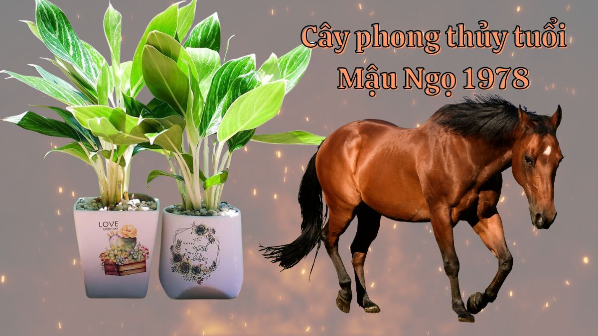 Tuổi Mậu Ngọ 1978 vận mệnh và phong thủy năm nay
