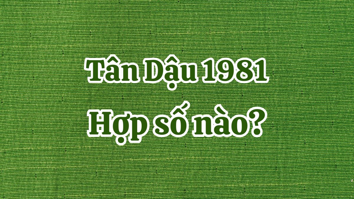 Người tuổi Tân Dậu 1981 hợp màu gì