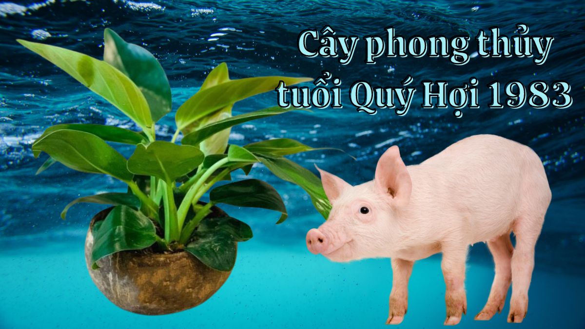 Nam nữ tuổi Quý Hợi 1983 xem tử vi năm nay