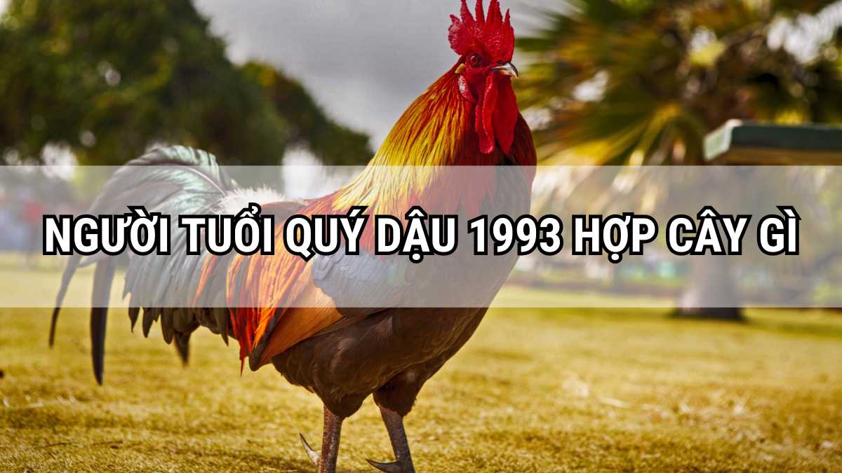 Người tuổi Quý Dậu 1993 thành công trong công việc