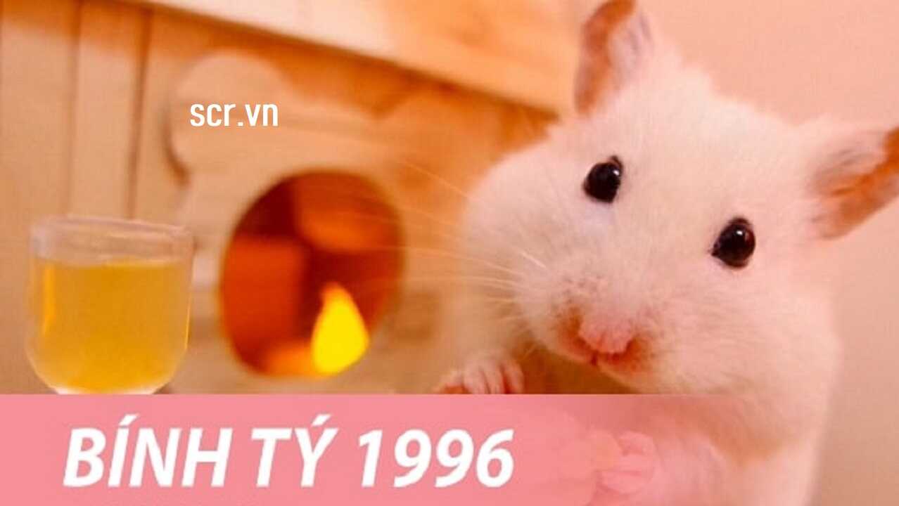 Tuổi Bính Tý 1996 vận mệnh và phong thủy
