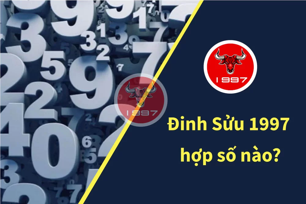 Tuổi Đinh Sửu 1997 hợp màu gì năm nay