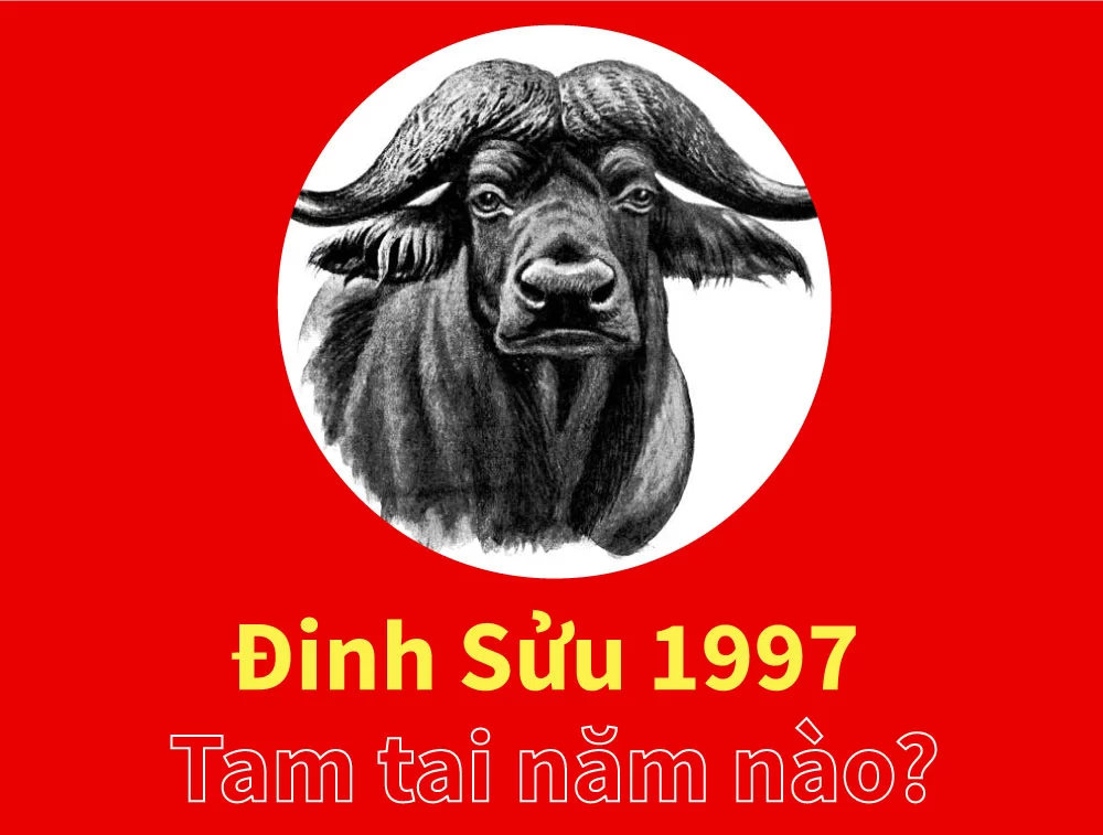 Tuổi Đinh Sửu 1997 hợp màu gì năm nay