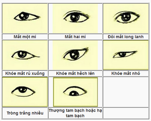 Phân tích nội tâm qua tướng mắt người