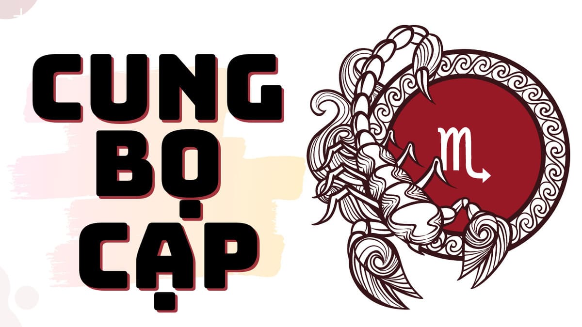 Cung hoàng đạo ngày 20 tháng 11