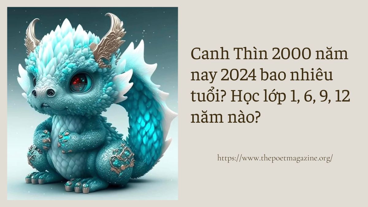 Tuổi 2k20 và lớp của 2k20 năm 2026
