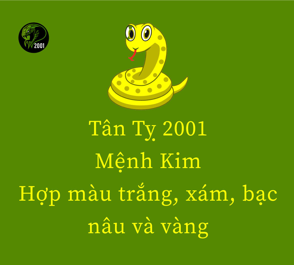 Nam nữ tuổi Tân Tỵ 2001 hợp màu gì