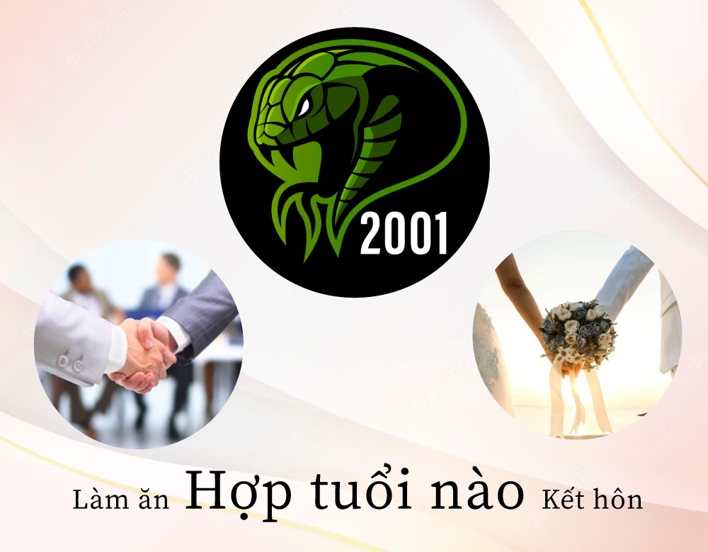 Nam nữ tuổi Tân Tỵ 2001 hợp màu gì