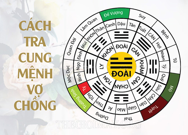 Chồng 2004 vợ 2011 sinh con năm nào hợp