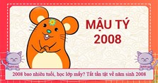 Học sinh sinh năm 2005 học lớp mấy năm 2026