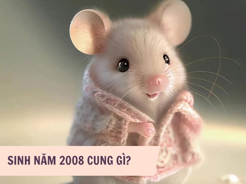 Tử vi tuổi Mậu Tý 2008 vận mệnh và phong thủy
