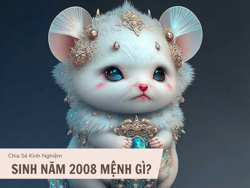 Tử vi tuổi Mậu Tý 2008 vận mệnh và phong thủy