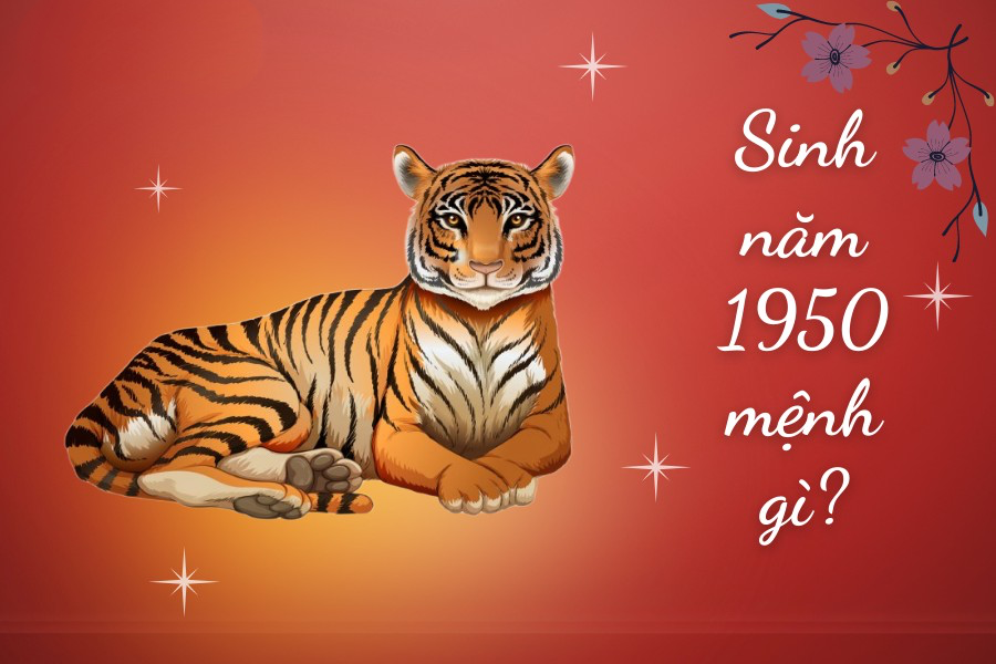 Nữ sinh Việt Nam thập niên 1950 trong tà áo dài trắng