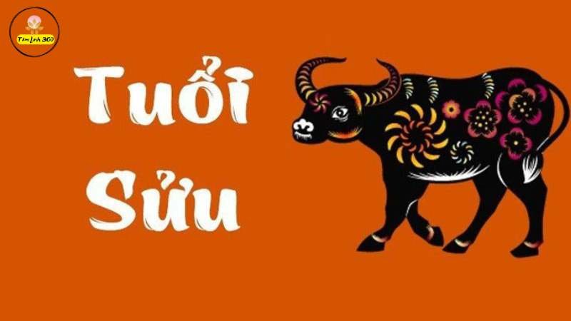 Bé sinh năm 2009 tuổi Kỷ Sửu thông minh