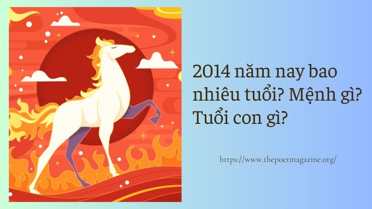 Học sinh 2k14 năm 2026 học lớp mấy