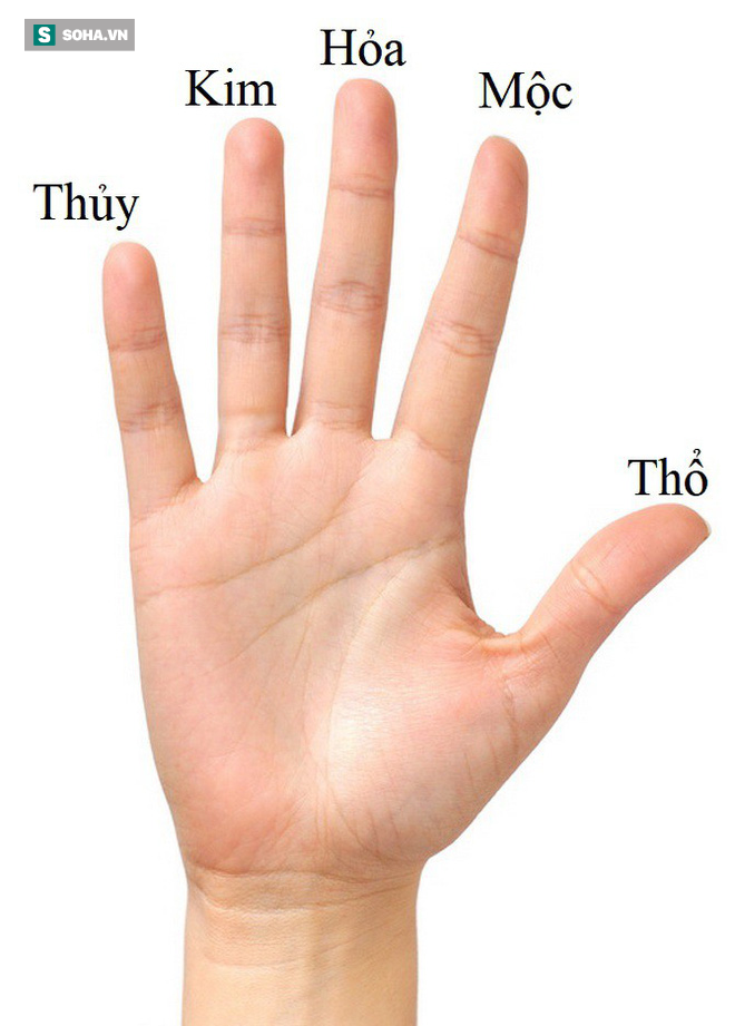 Ngón tay giữa trên bàn tay