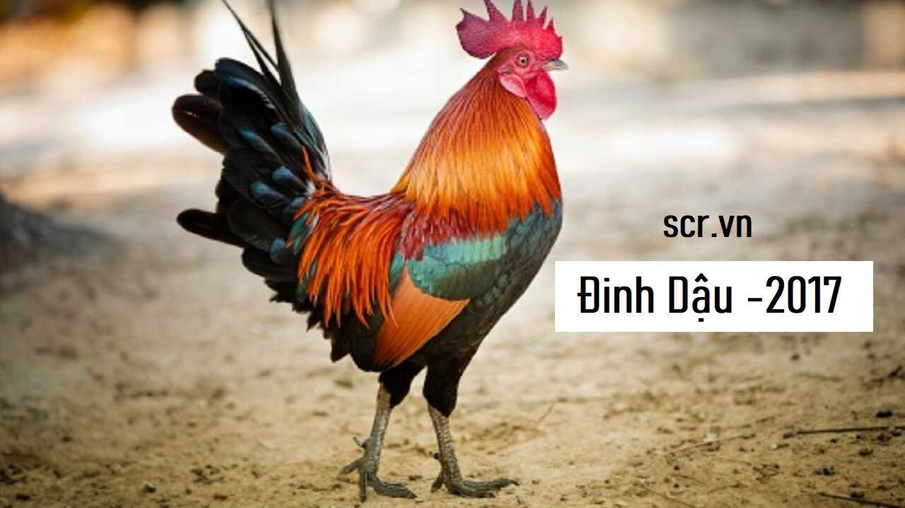 Tử vi nữ Đinh Dậu 2017 năm 2026 chi tiết