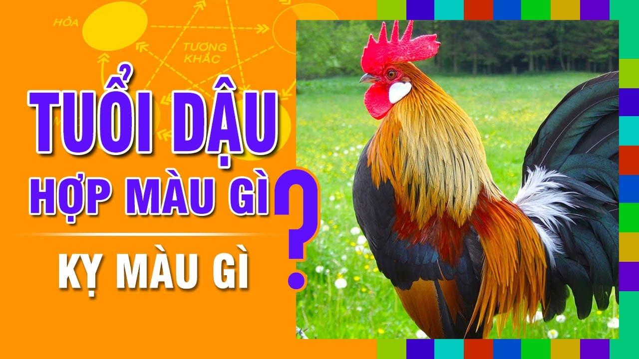 Tuổi Đinh Dậu 2017 hợp màu gì