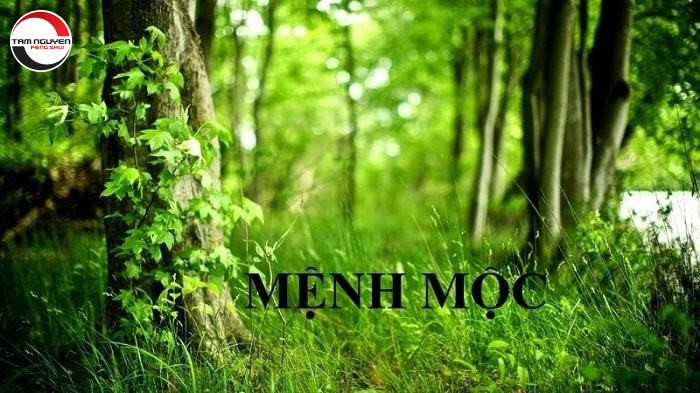 Đặt tên theo phong thủy mang lại may mắn