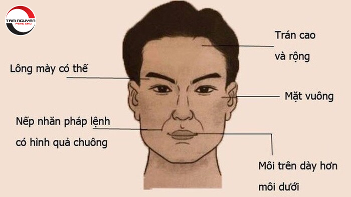 Chi tiết tướng mũi nam giới