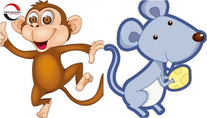 Tam Hợp Tuổi Tý mang lại may mắn và tài lộc