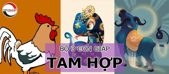Tam hợp tuổi Sửu mang lại may mắn và tài lộc