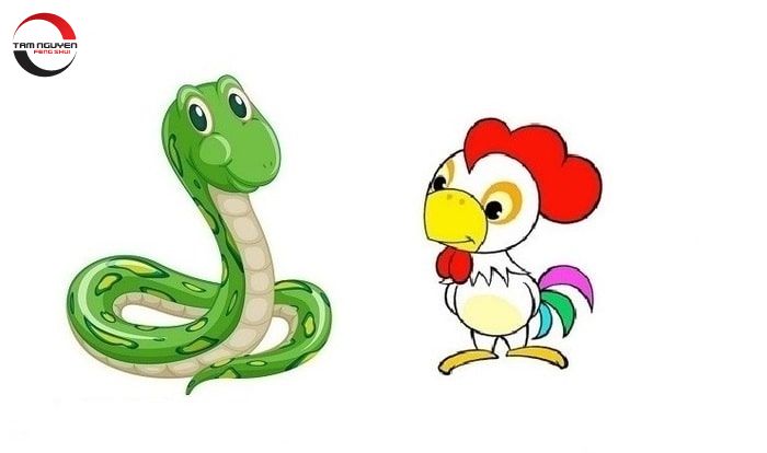 Tam hợp tuổi Sửu mang lại may mắn và tài lộc