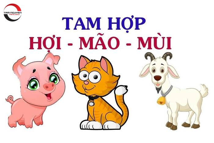 Tam Hợp Tuổi Mùi trong phong thủy và tử vi