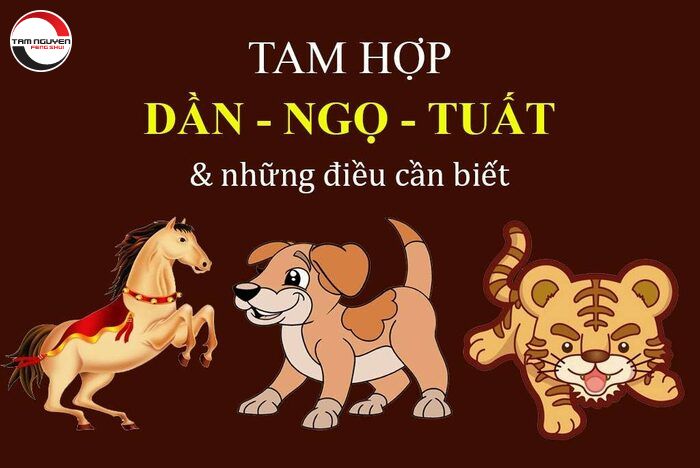Tam Hợp Tuổi Ngọ và ý nghĩa phong thủy