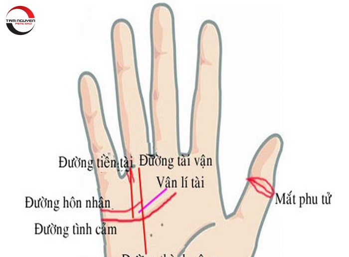 Đường hôn nhân trên bàn tay nam nữ