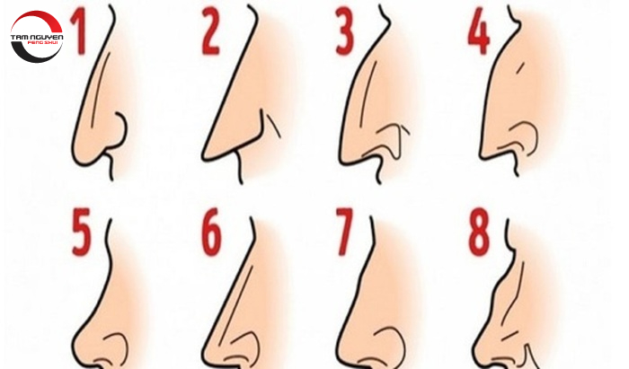 Tướng mũi cao theo nhân tướng học